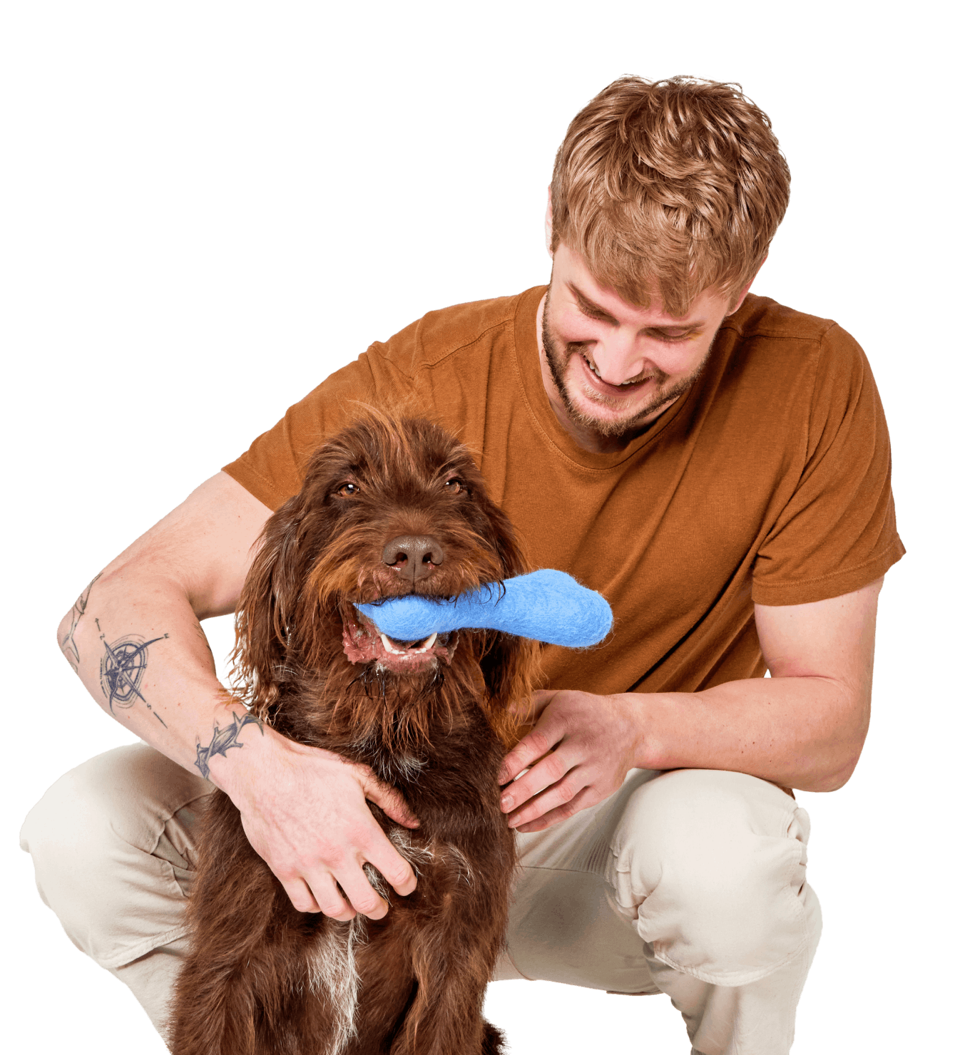 How to DNA test your dog or cat The Wisdom Panel process